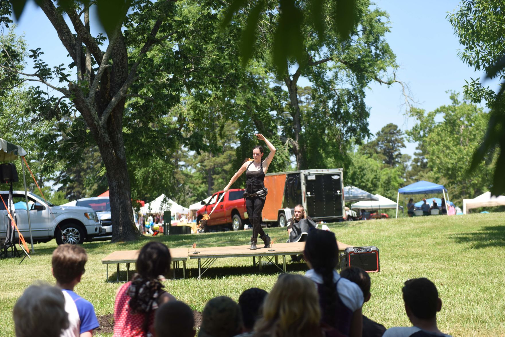 Festival in the Park